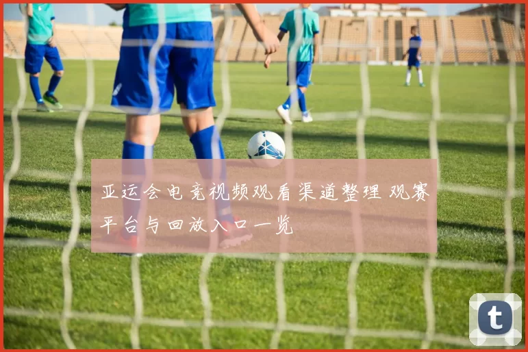 亚运会电竞视频观看渠道整理 观赛平台与回放入口一览