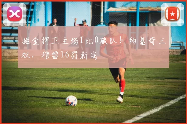 掘金捍卫主场1比0狼队！约基奇三双，穆雷16罚新高