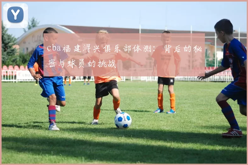 cba福建浔兴俱乐部体测:背后的秘密与球员的挑战