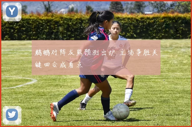 鹈鹕对阵灰熊预测出炉 主场争胜关键回合成看点