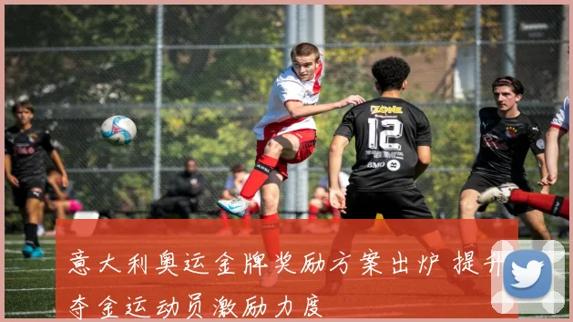 意大利奥运金牌奖励方案出炉 提升夺金运动员激励力度